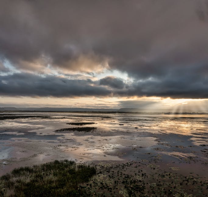 A wide view of a coastal tide pool area during overcast weather at sunset, with dark clouds covering most of the sky and sun rays breaking through near the horizon. The scene features wet, reflective mud flats and shallow pools of water, with patches of green marsh grass in the foreground. Distant landforms are visible across the water, emphasizing the expansive nature of the scene. While not directly related to house removals or moving services, this landscape image evocatively illustrates outdoor environments where moving equipment might be used or the importance of careful planning for relocation projects near coastal areas, as referenced on the North End Seafront flats access guide page by Man with Van North End.